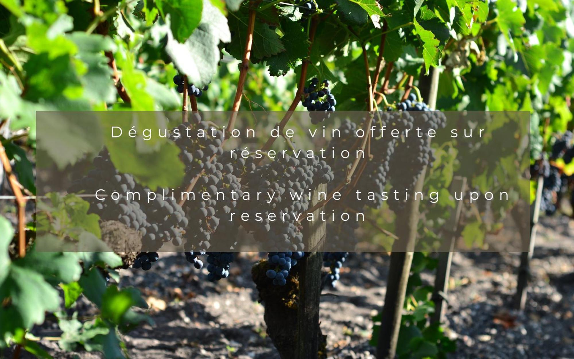 Chateau Leognan, Domaine Viticole - Proche Bordeaux エクステリア 写真